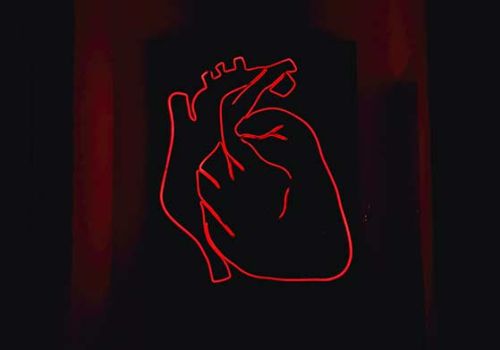 Il meridiano del cuore in kinesiologia