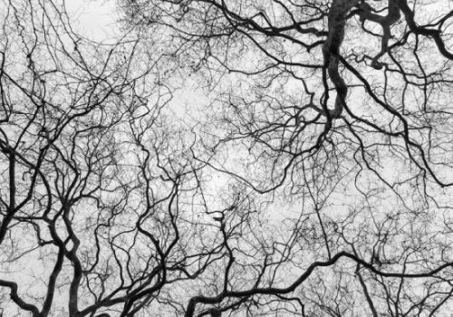 allucinazioni disturbi sonno